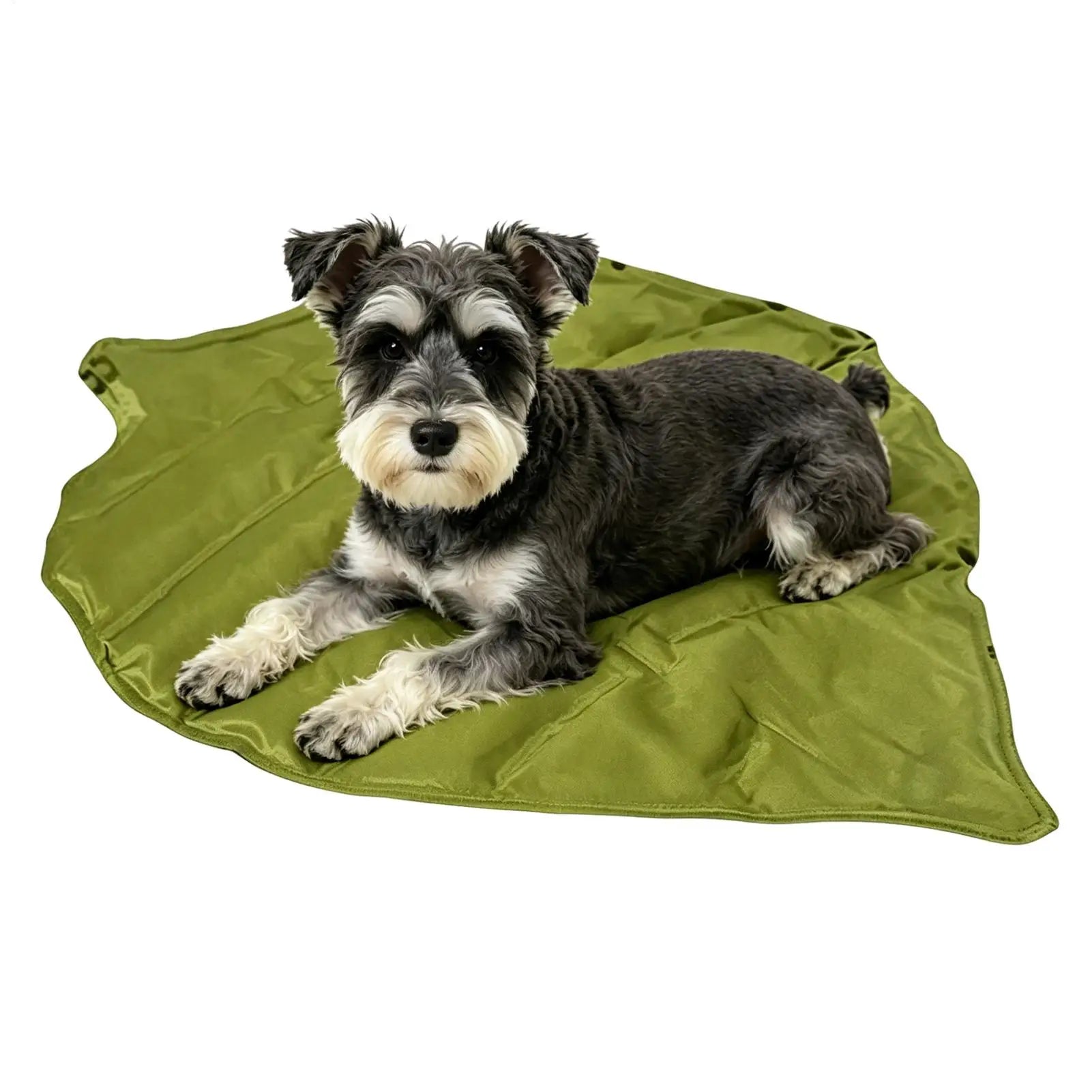 Self-Cooling Pet Mat – Washable Summer Ice Pad