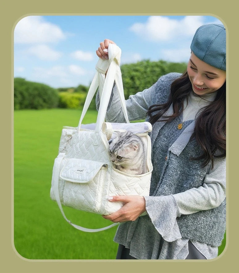 Breathable Mesh Pet Travel Tote Bag