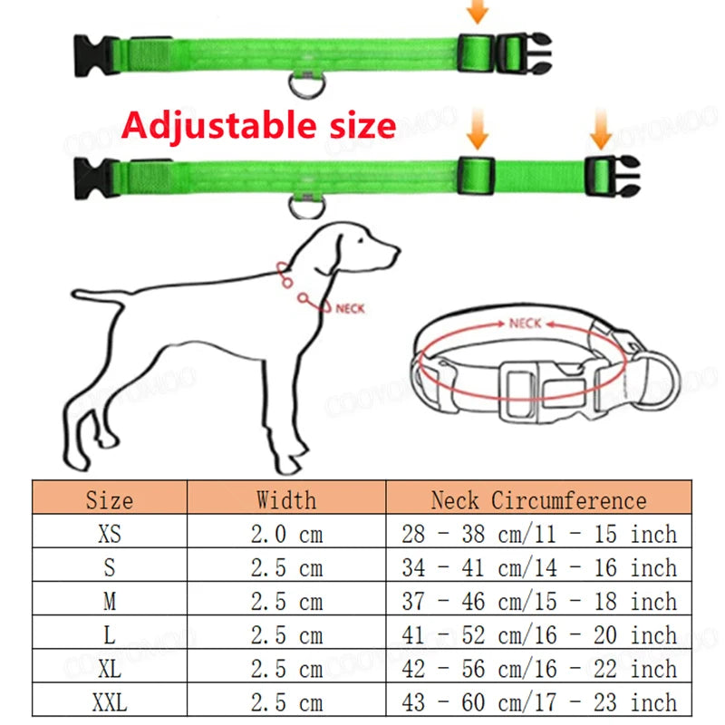 Rechargeable LED Dog Collar – 3-Mode Night Safety Light