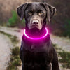LED Anti-Lost Dog Collar – USB Rechargeable Light