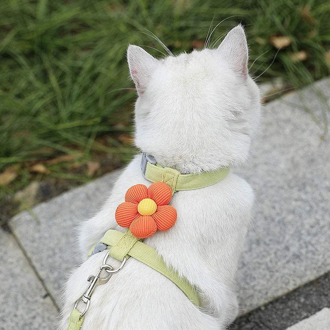 Adjustable Cat & Small Dog Harness and Leash Set