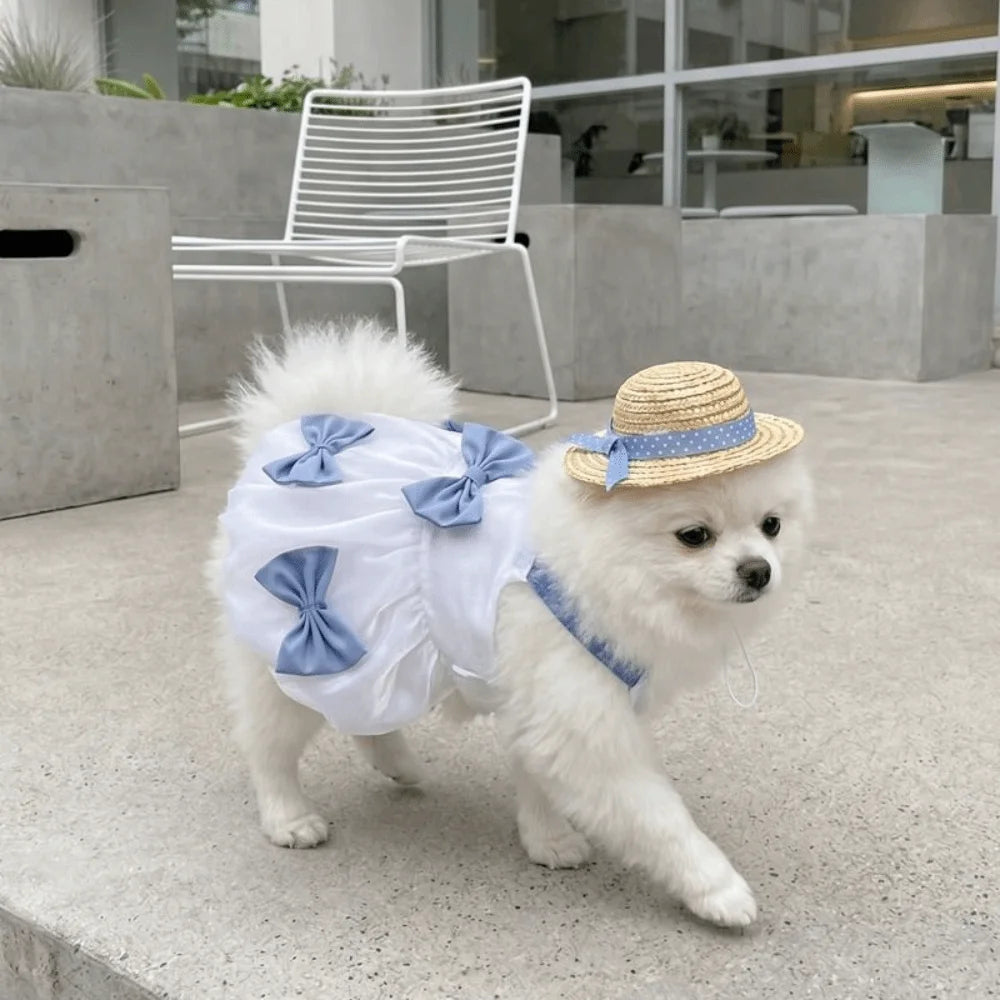 Breathable Lace Princess Dog Dress