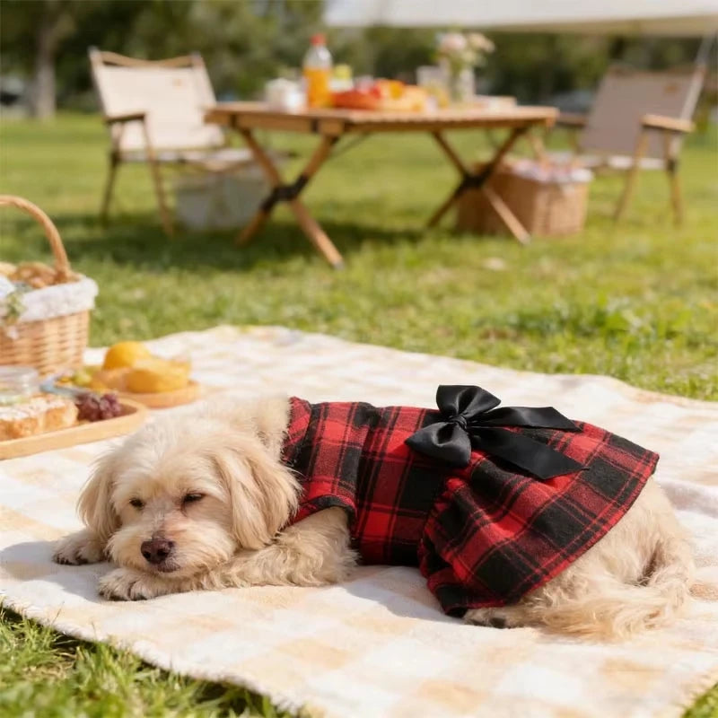 College Style Bow Dress for Pets
