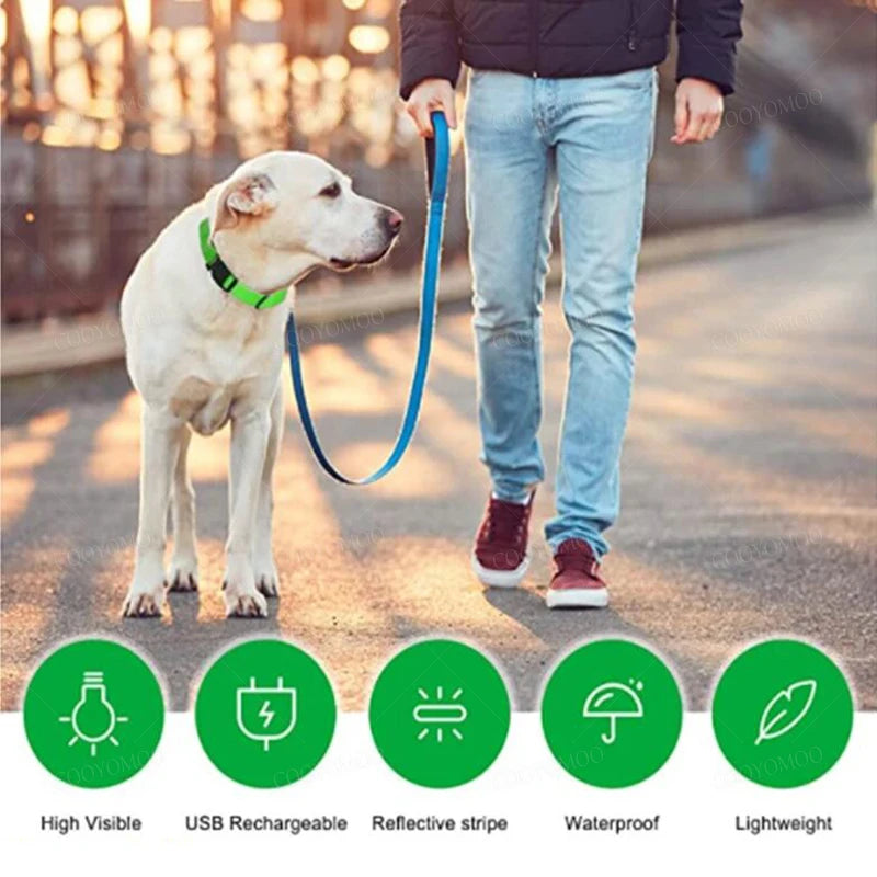 Rechargeable LED Dog Collar – 3-Mode Night Safety Light