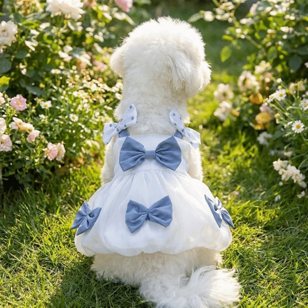 Breathable Lace Princess Dog Dress