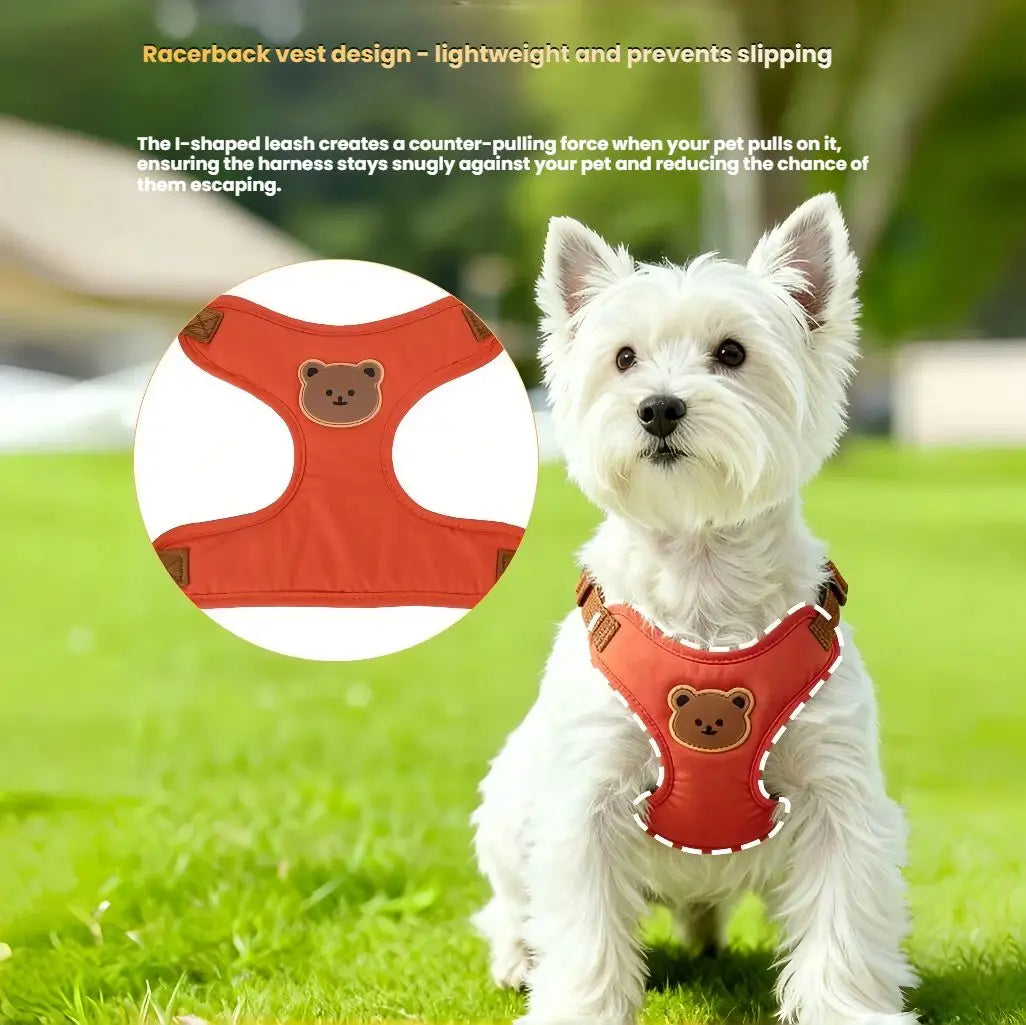Breathable Dog Harness & Leash Set – Small Breeds