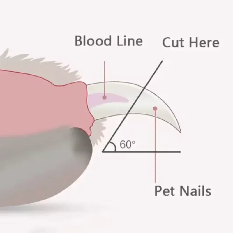 Labor-Saving Pet Nail Trimmer – Grooming Scissors