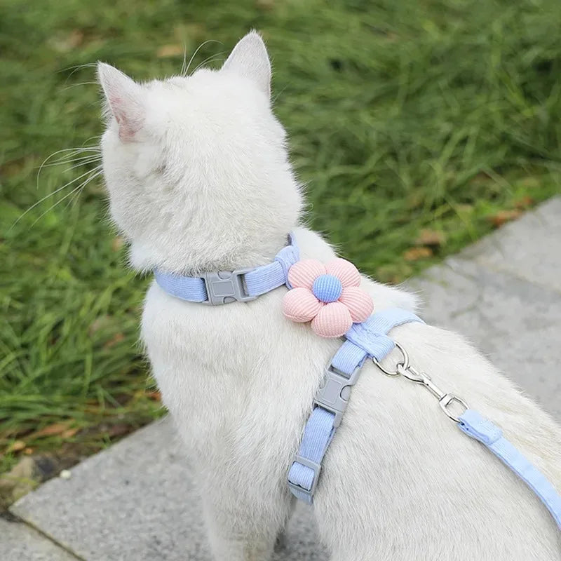 Adjustable Cat & Small Dog Harness and Leash Set