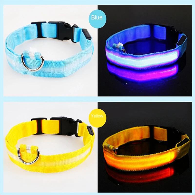 Rechargeable LED Dog Collar – 3-Mode Night Safety Light