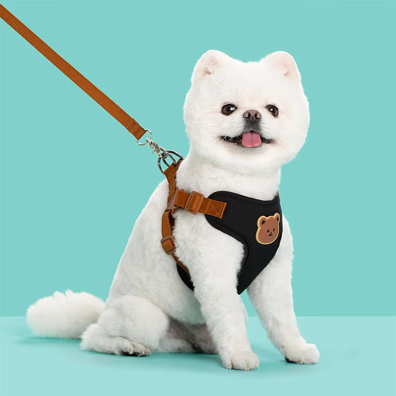 Breathable Dog Harness & Leash Set – Small Breeds