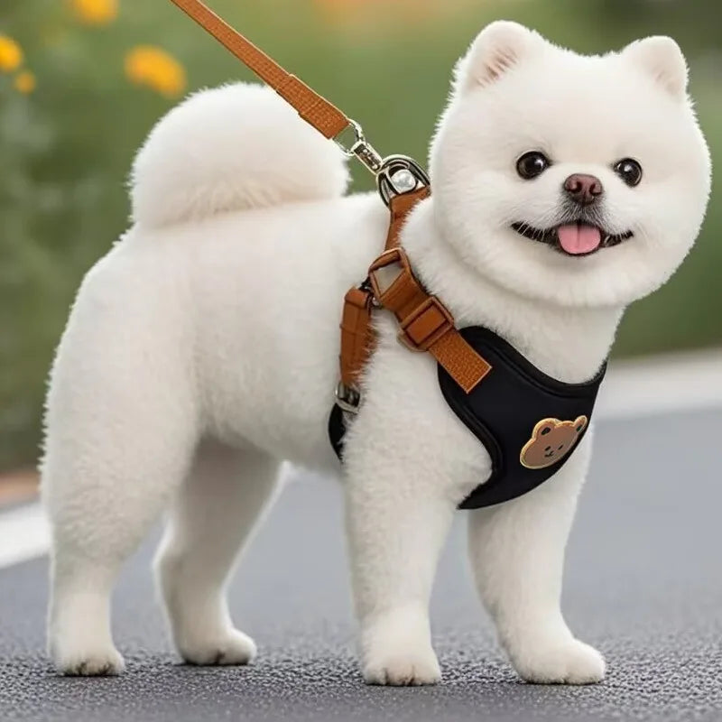 Breathable Dog Harness & Leash Set – Small Breeds