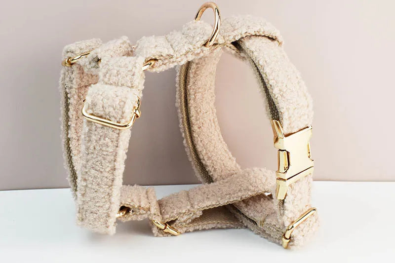 Velvet Dog Collar & Leash Set – Personalized Nameplate