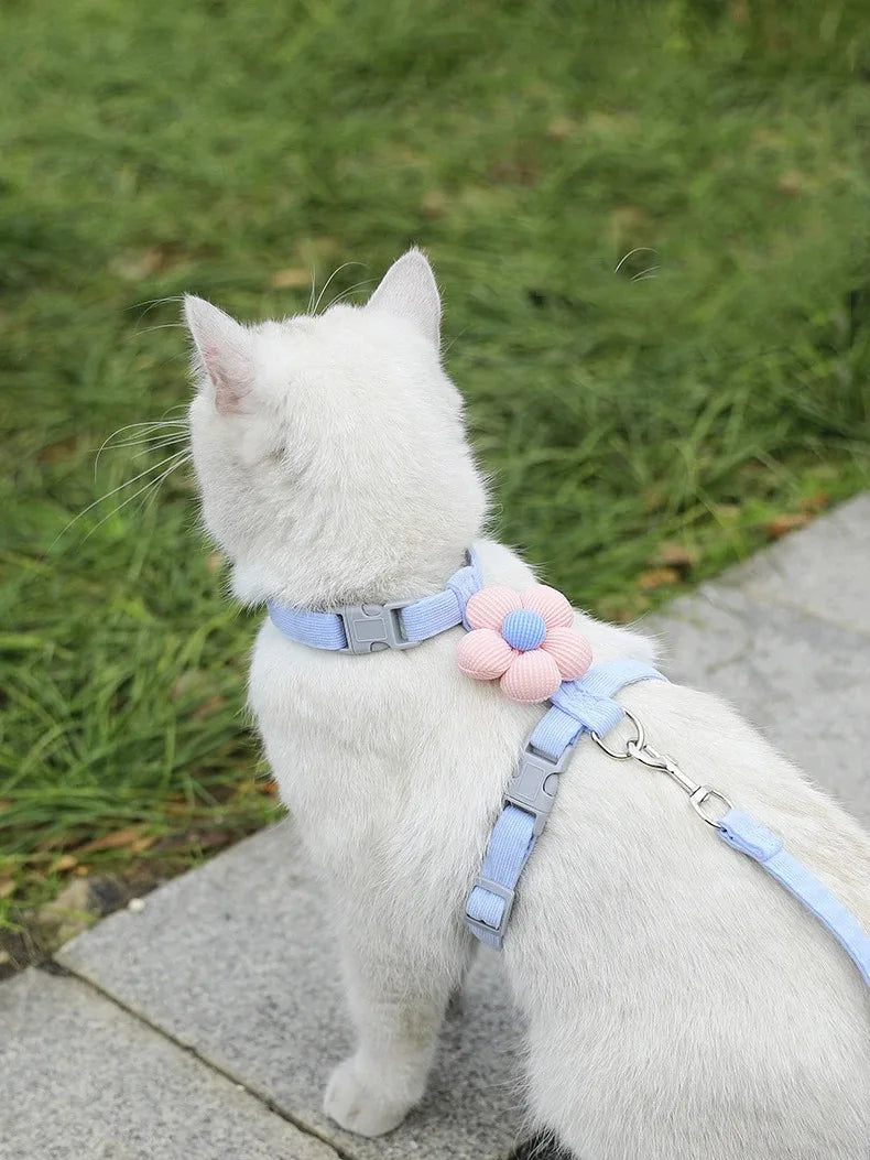 Adjustable Cat & Small Dog Harness and Leash Set