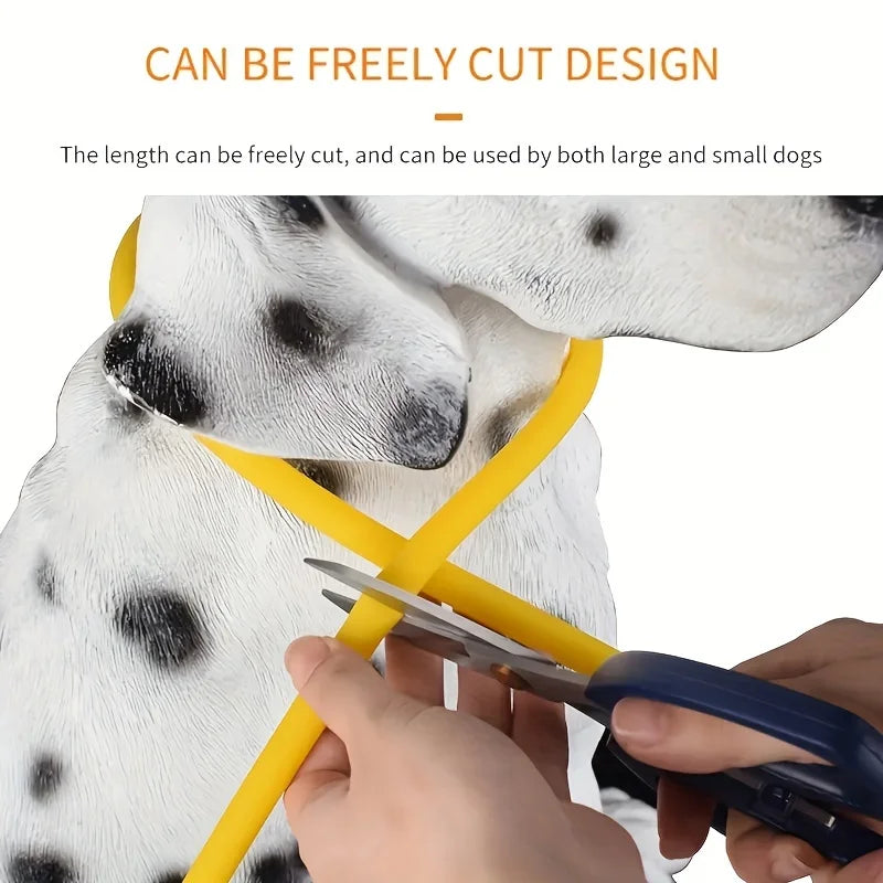 LED Anti-Lost Dog Collar – USB Rechargeable Light