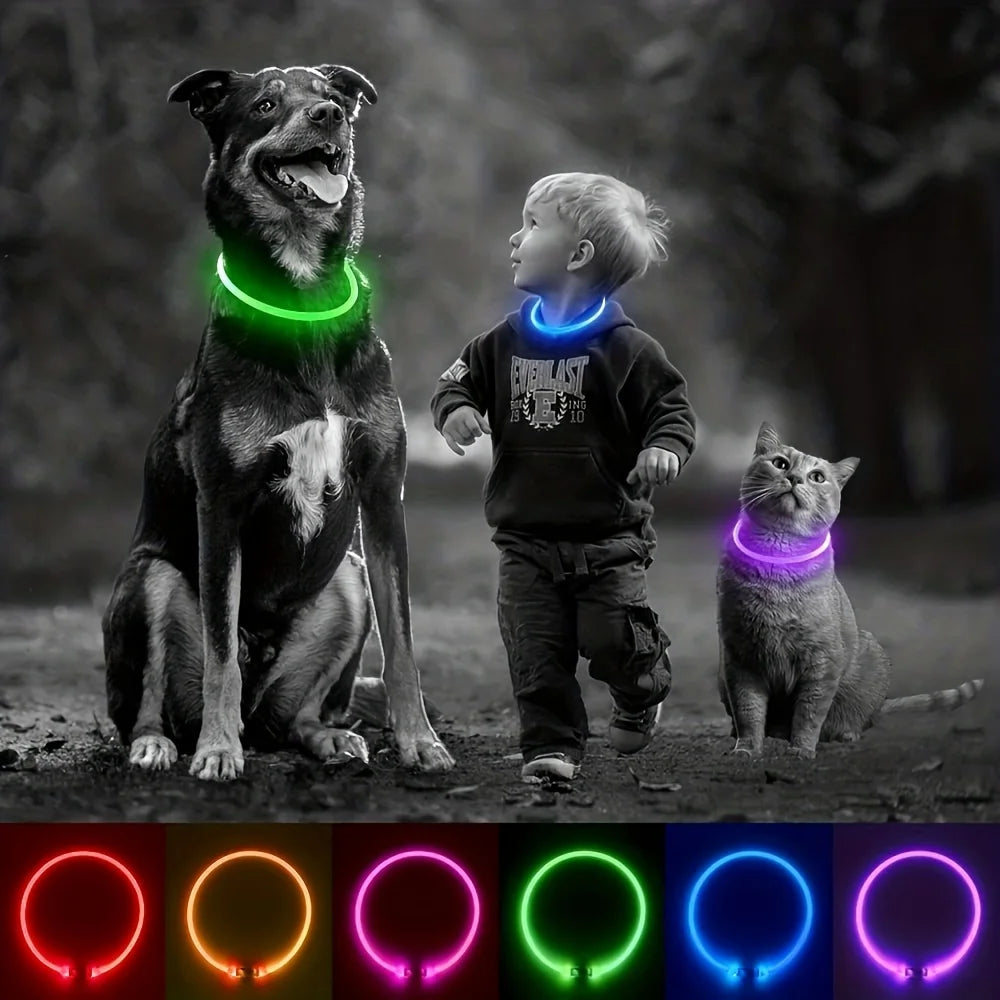 LED Anti-Lost Dog Collar – USB Rechargeable Light