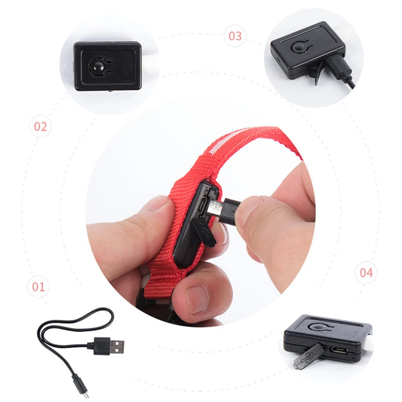 Rechargeable LED Dog Collar – 3-Mode Night Safety Light