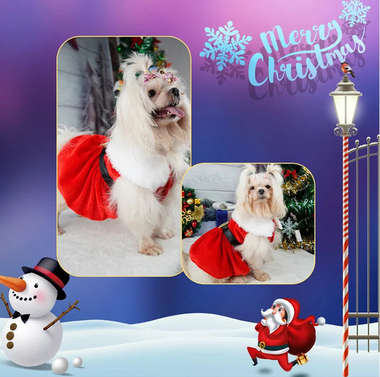 Gold Velvet Christmas Dog Dress