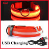 Rechargeable LED Dog Collar – 3-Mode Night Safety Light