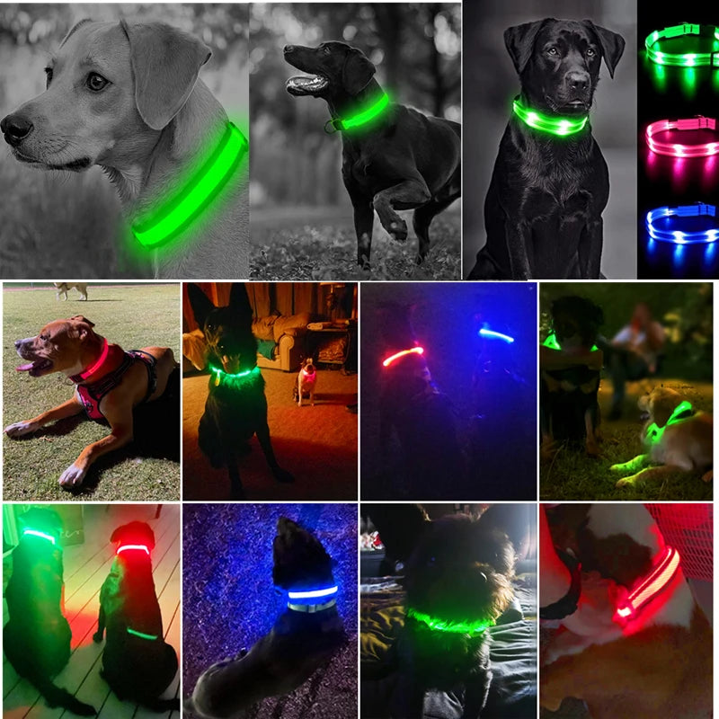 Rechargeable LED Dog Collar – 3-Mode Night Safety Light