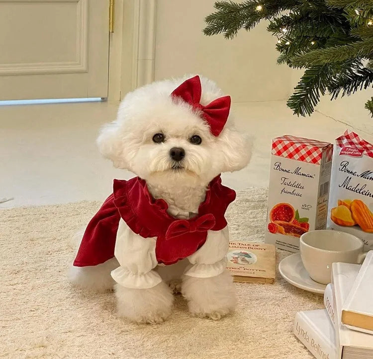 Winter Bow Dress Set for Dogs