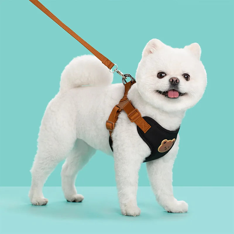 Breathable Dog Harness & Leash Set – Small Breeds