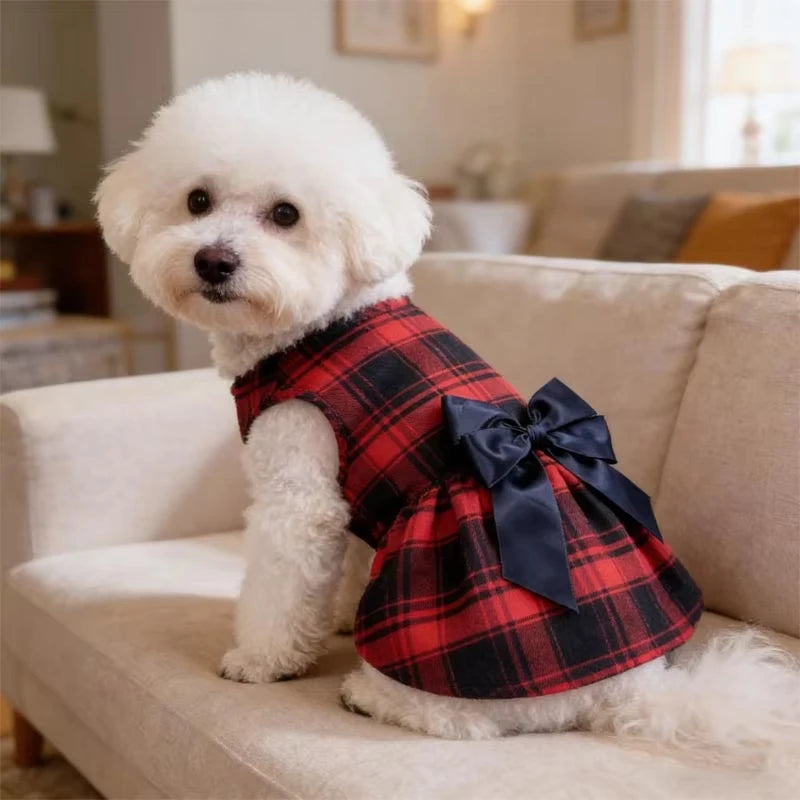 College Style Bow Dress for Pets