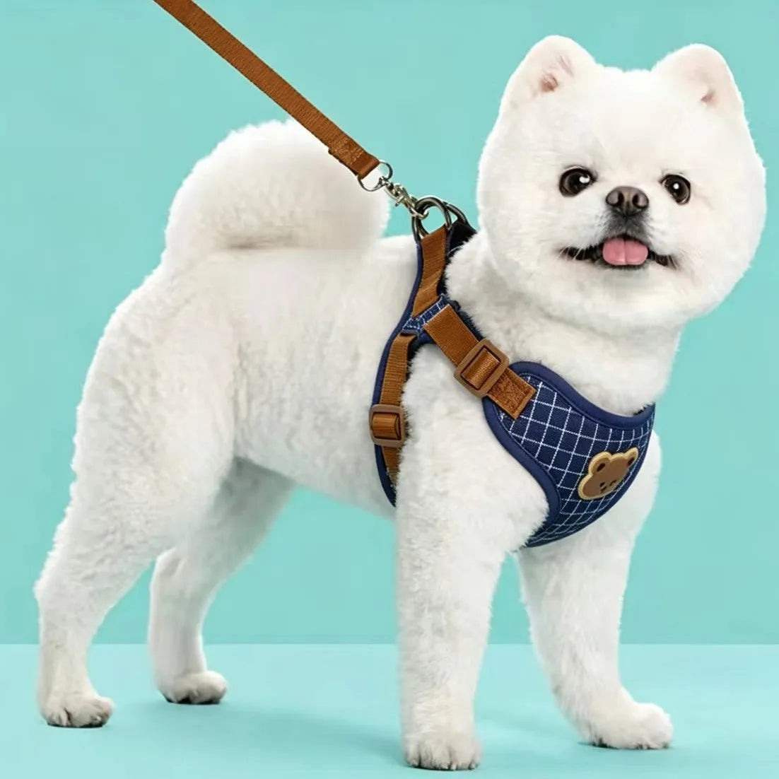 Breathable Dog Harness & Leash Set – Small Breeds