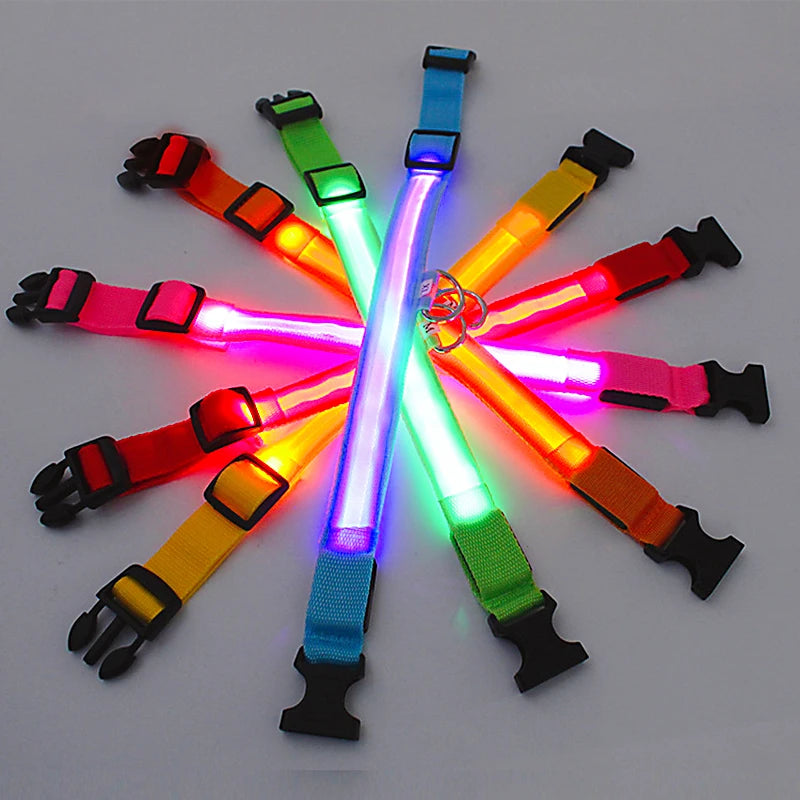 Rechargeable LED Dog Collar – 3-Mode Night Safety Light