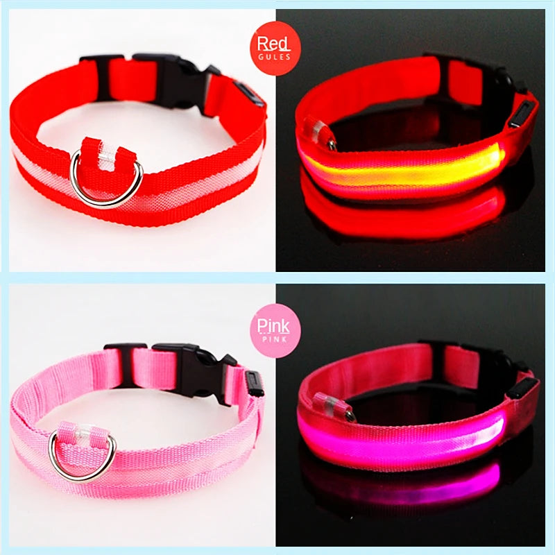 Rechargeable LED Dog Collar – 3-Mode Night Safety Light