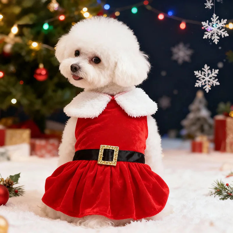 Gold Velvet Christmas Dog Dress