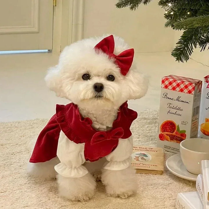 Winter Bow Dress Set for Dogs