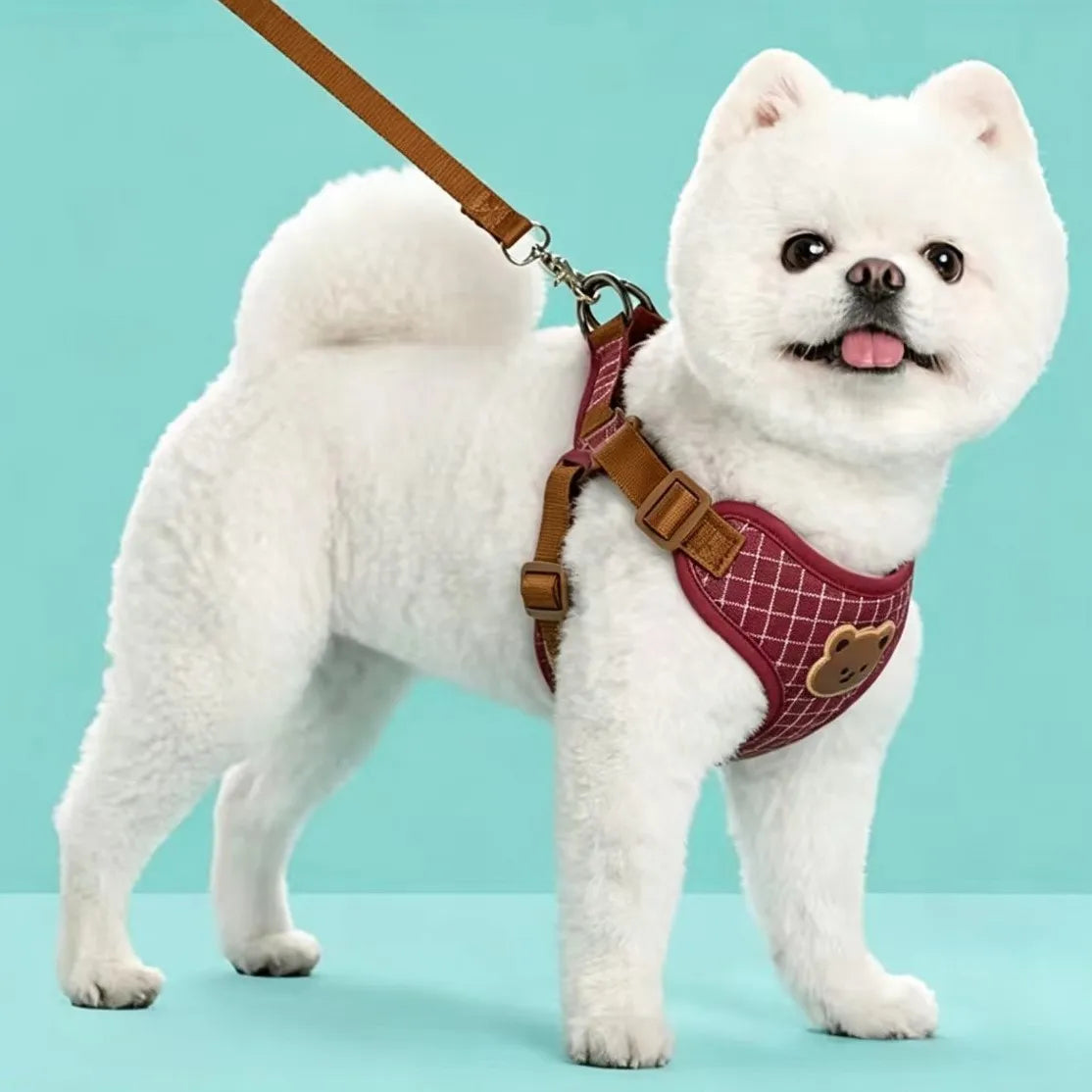 Breathable Dog Harness & Leash Set – Small Breeds