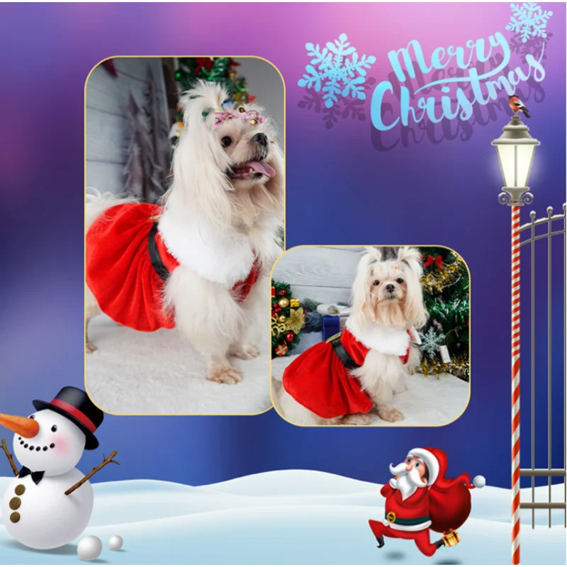 Gold Velvet Christmas Dog Dress