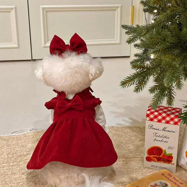 Winter Bow Dress Set for Dogs