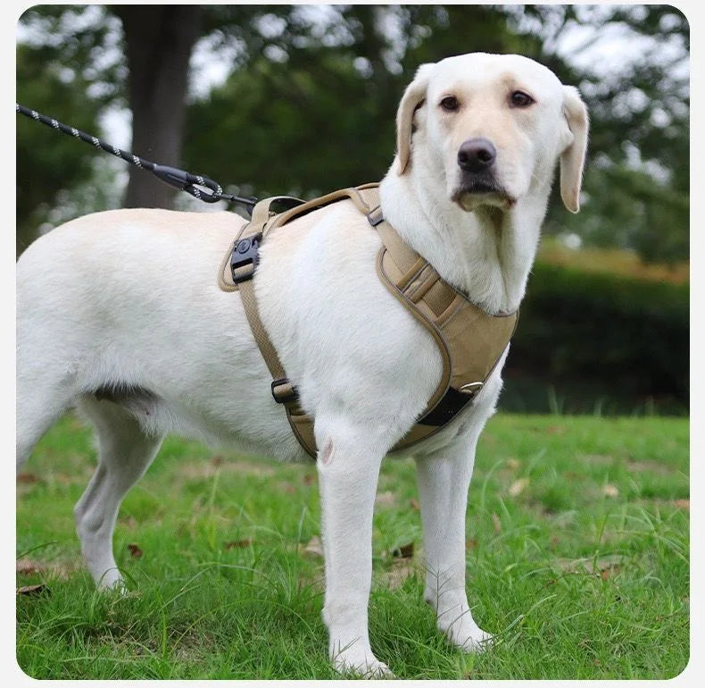 Reflective Dog Harness & Leash Set with Tracker Holder