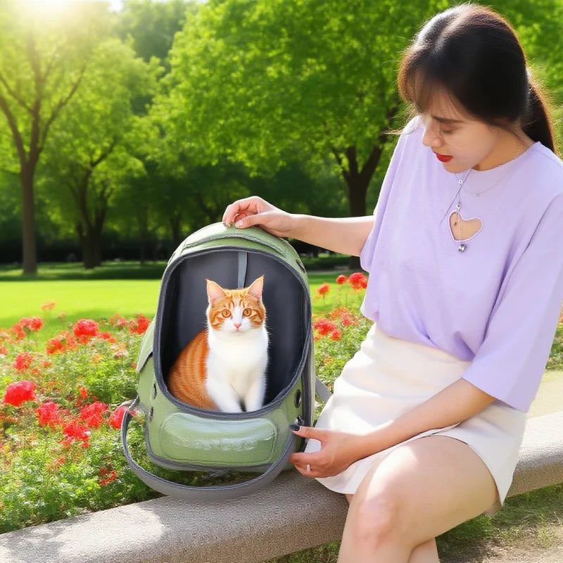 Transparent Pet Carrier Backpack