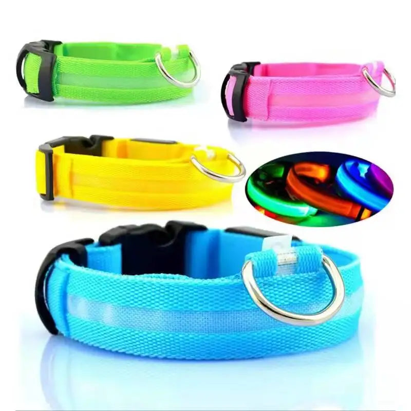 Rechargeable LED Dog Collar – 3-Mode Night Safety Light