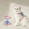 Adjustable Cat & Small Dog Harness and Leash Set