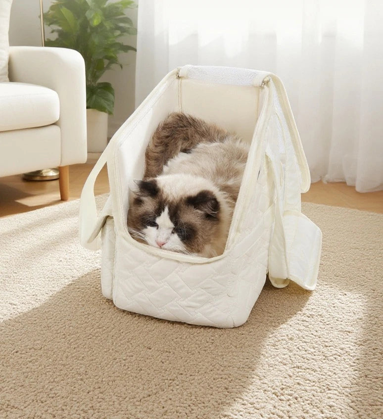 Breathable Mesh Pet Travel Tote Bag
