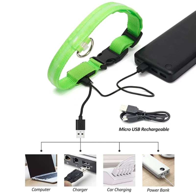 Rechargeable LED Dog Collar – 3-Mode Night Safety Light