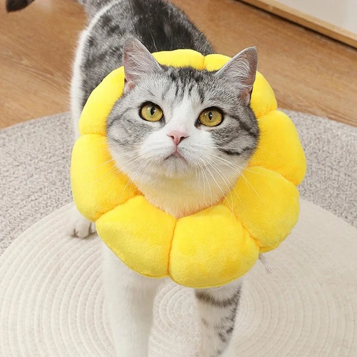 Soft Recovery Collar – Anti-Bite Cone for Cats & Dogs