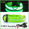 Rechargeable LED Dog Collar – 3-Mode Night Safety Light