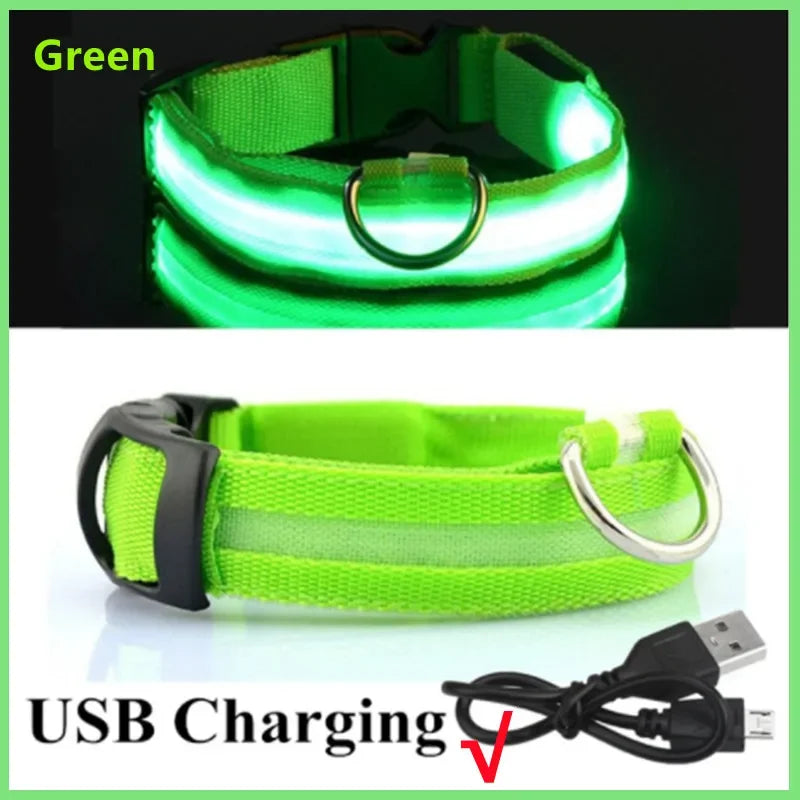 Rechargeable LED Dog Collar – 3-Mode Night Safety Light