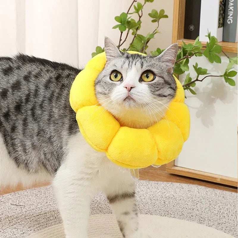 Soft Recovery Collar – Anti-Bite Cone for Cats & Dogs