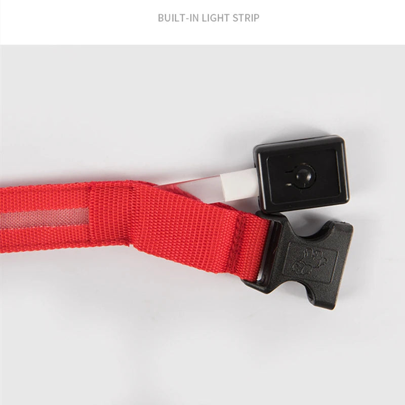 Rechargeable LED Dog Collar – 3-Mode Night Safety Light