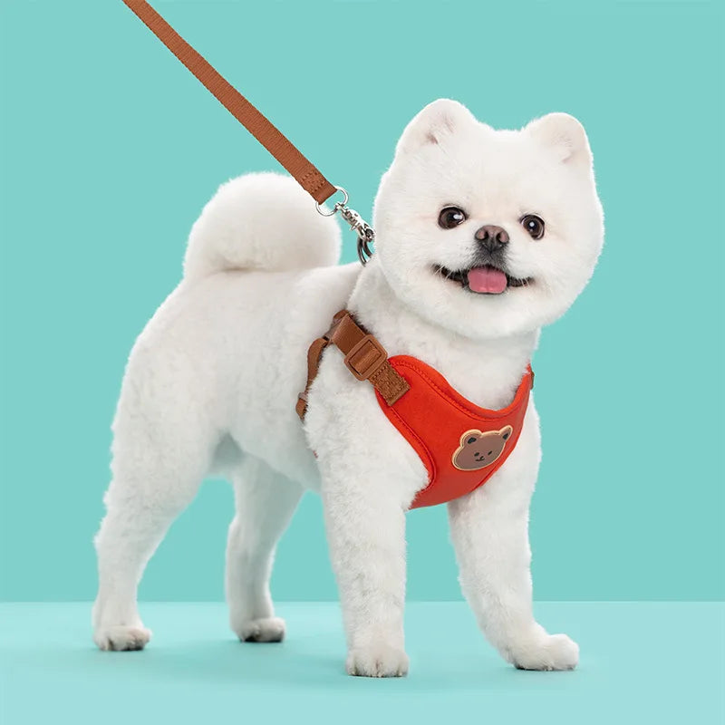 Breathable Dog Harness & Leash Set – Small Breeds
