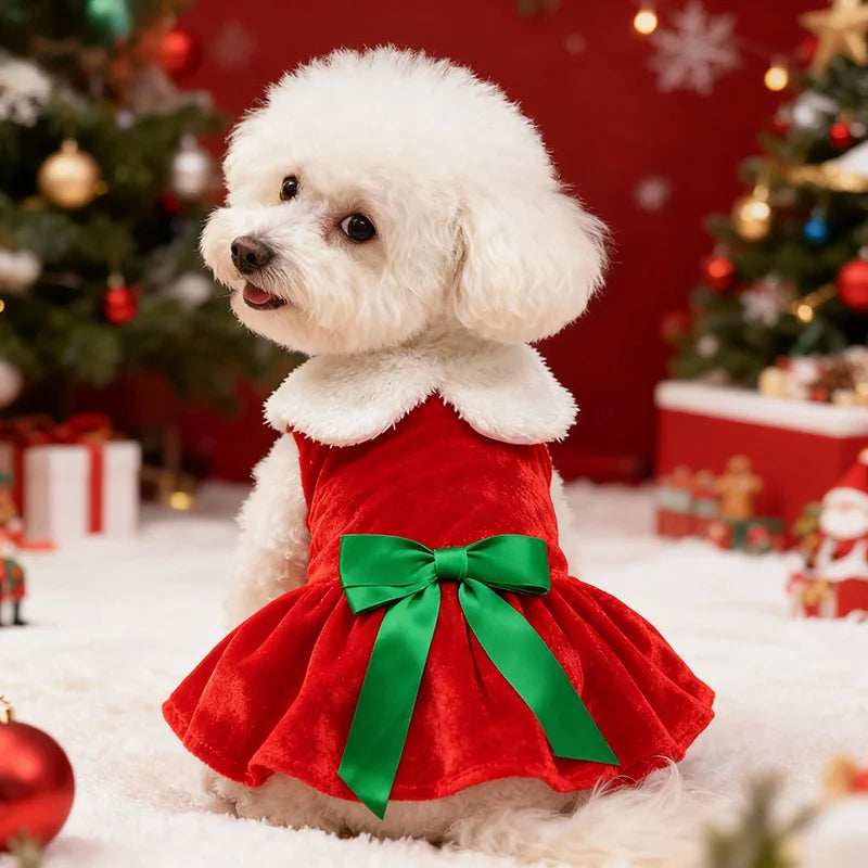 Gold Velvet Christmas Dog Dress