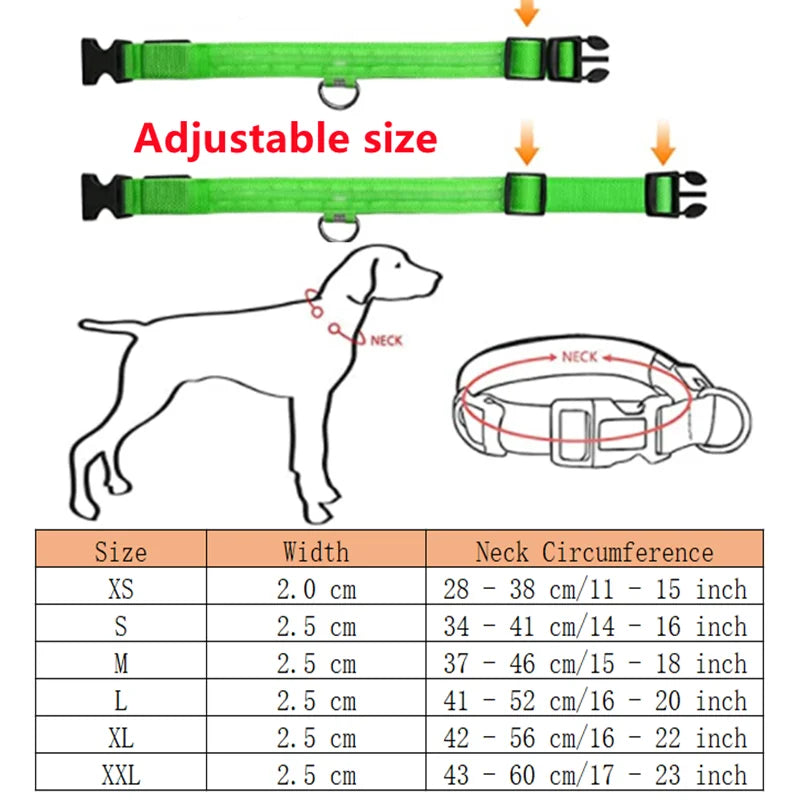 Rechargeable LED Dog Collar – 3-Mode Night Safety Light