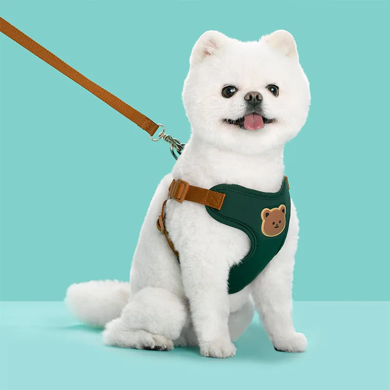 Breathable Dog Harness & Leash Set – Small Breeds