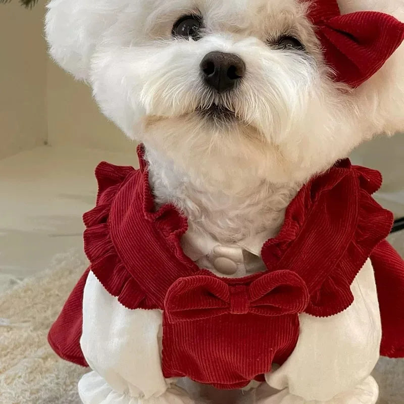 Winter Bow Dress Set for Dogs